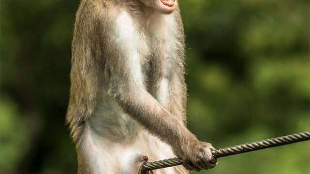 photo_2022-05-12_21-16-13