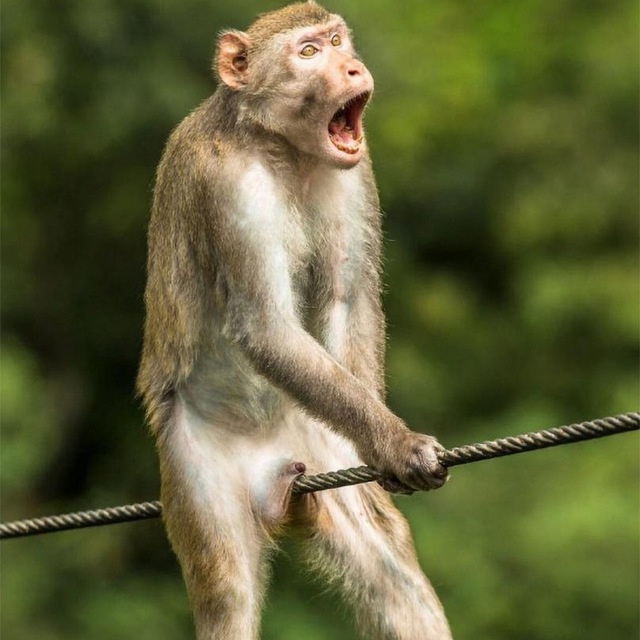 photo_2022-05-12_21-16-13