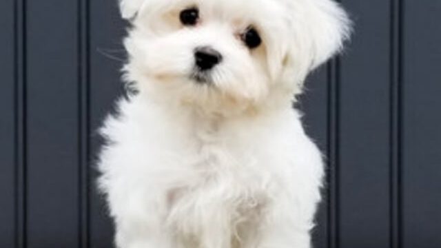 photo_2024-03-26_11-31-11