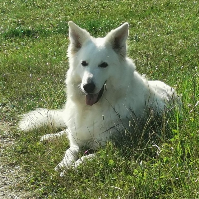 photo_2025-08-12_10-33-07