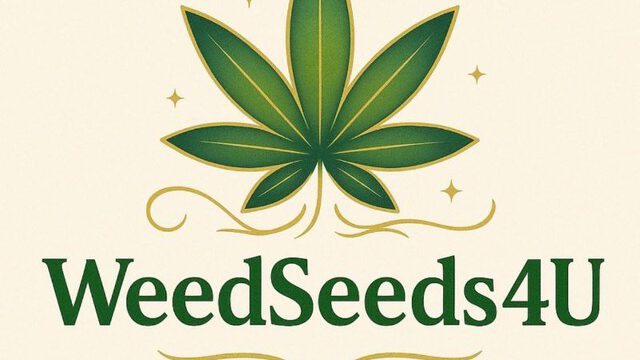 photo_2025-08-25_12-08-58