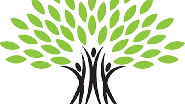 photo_2020-11-08_17-12-58