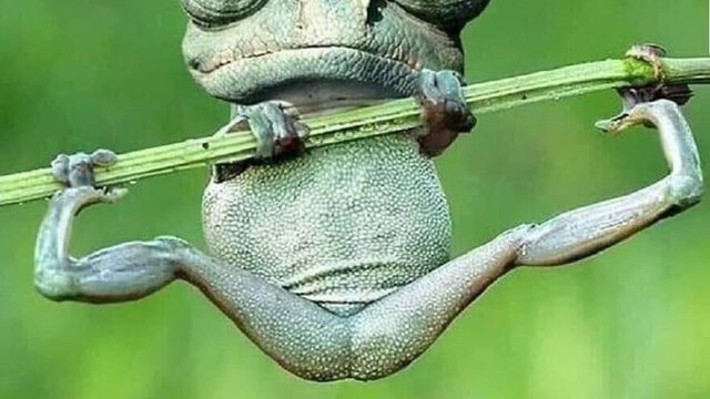 photo_2022-12-08_20-19-03