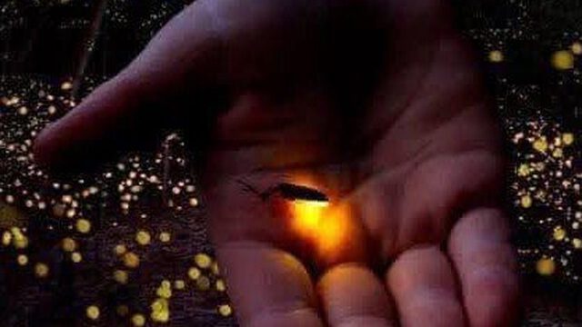 photo_2025-08-16_21-29-03