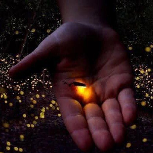 photo_2025-08-16_21-29-03