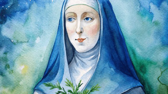 photo_2025-11-19_09-23-03