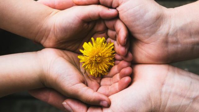 photo_2021-07-11_18-25-01