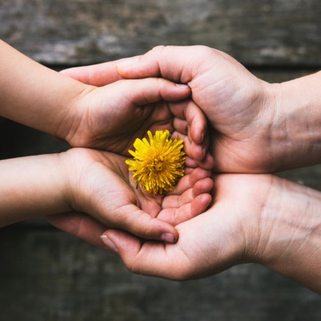 photo_2021-07-11_18-25-01