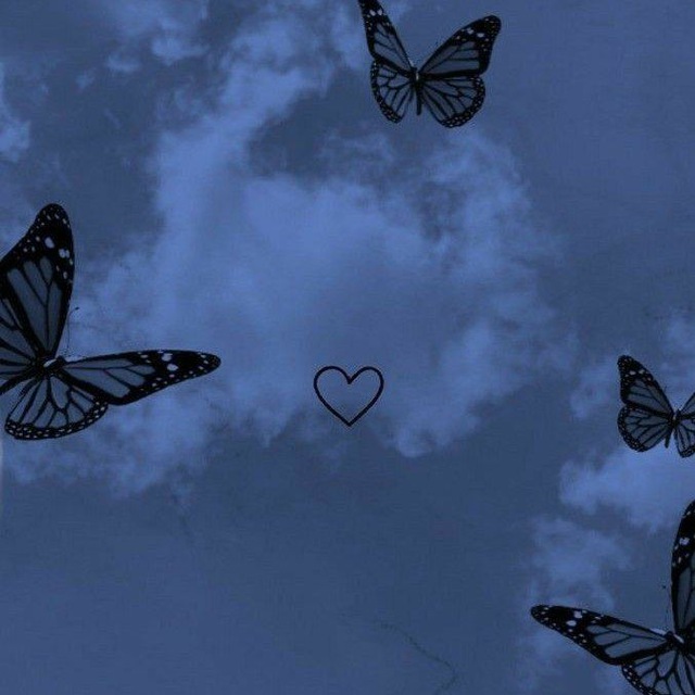 photo_2021-07-17_08-08-05